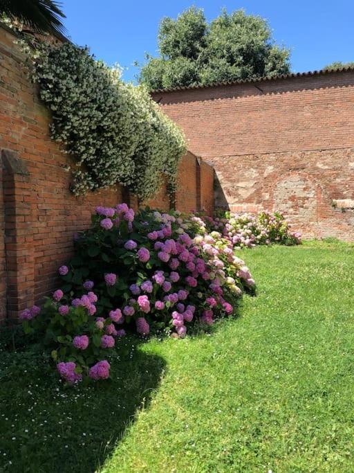 Palazzo Sabbioni Appartamento Lusso Due Camere Soggiorno Cucina Ferrara Eksteriør billede